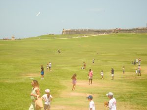 people-enjoying-a-sunny-day-on-a-large-grassy-field-mcfmsrhhno